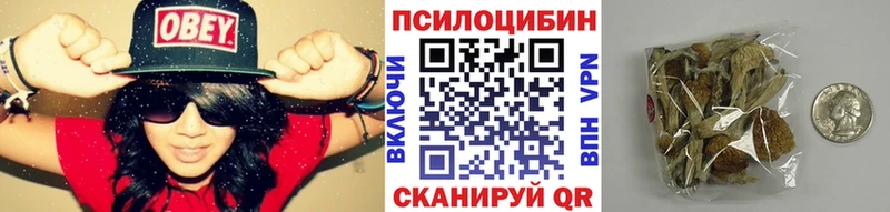 купить наркотик  Яблоновский  Галлюциногенные грибы прущие грибы 